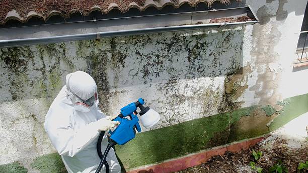 Top rated local Crawl Space Mold Removal specialists in Millersburg, PA